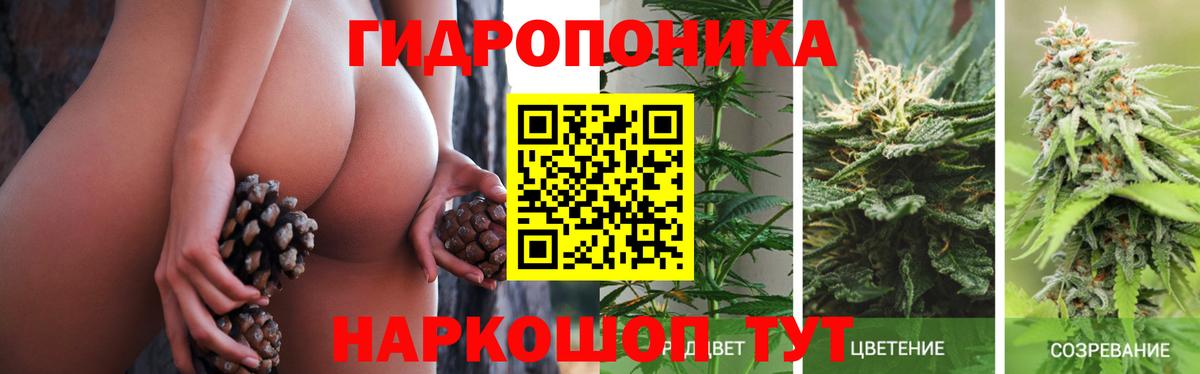 Каннабис Ganja Елабуга